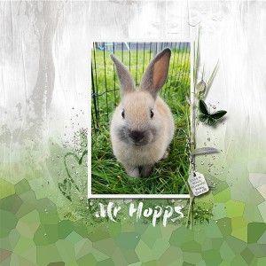 MOC6 Day 22 | Mr Hopps