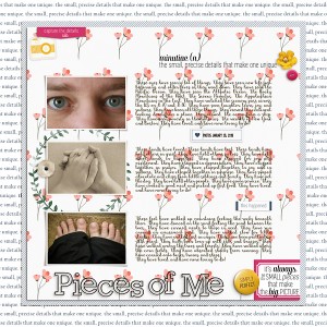 2018-Pieces-of-Me-copy