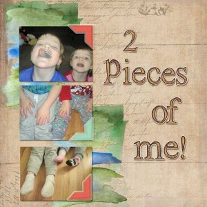 Day-24 Pieces of Me