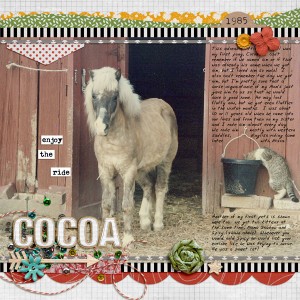 Day 26 - Cocoa