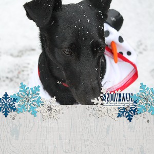 Snowman - MOC6.27