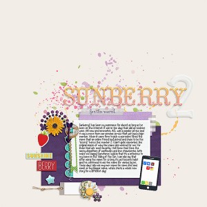 Sunberry2 (MOC6 - Username)