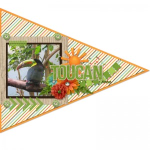 Toucan