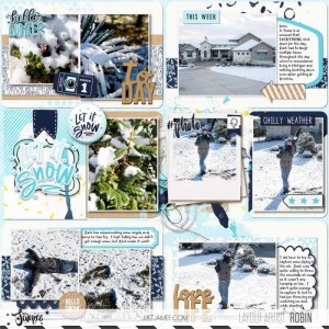 Robin_Snow Fun OL TLP