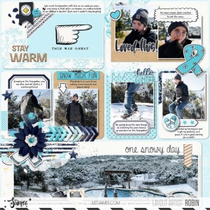 Robin_Snow Fun Right OL TLP