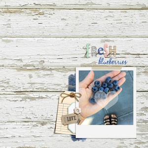 MOC 29 Blueberries