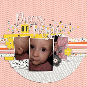 MOC24PiecesofTaryn