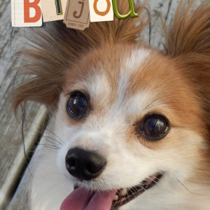 Bijou-(alphas)