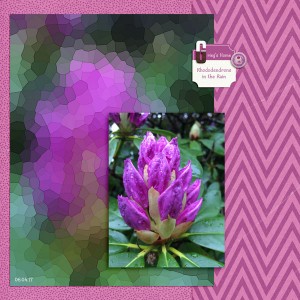 Rhododendrens in the Rain - MOC6 #22 Geometrical Mosaics
