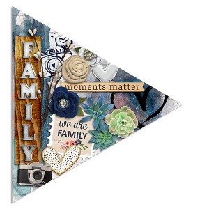 Family Triangle (MOC6 - Inside a Shape)