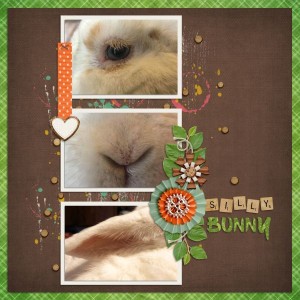 Jan 24 Silly Bunny
