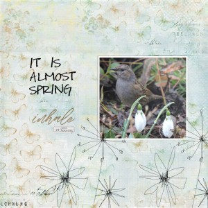 18jan27_bird