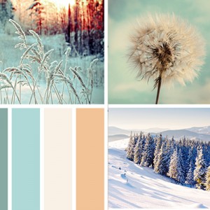 Mood Board