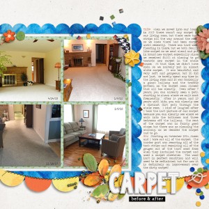 Day 31 - Carpet Before And After