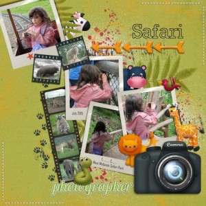Safari Photographer