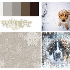 Winter-board