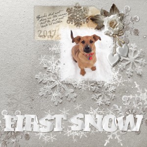 Snow-puppy