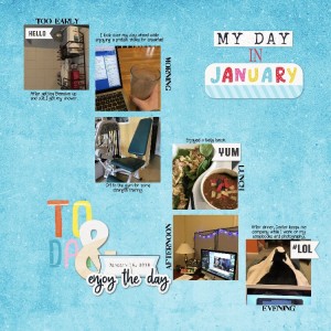 MOC6-14 Document Your Day Mosbaskets2