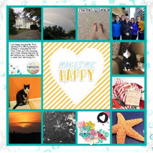 MOC6-21 What Makes You Happy Mosbaskets