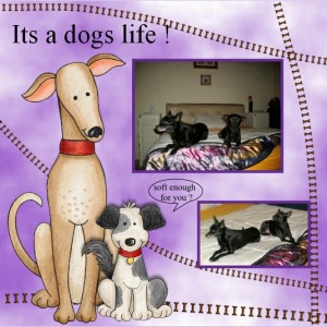 Its A Dogs Life