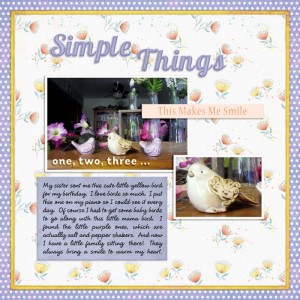 FEBRUARY 2018 PHOTOGRAPHY CHALLENGE