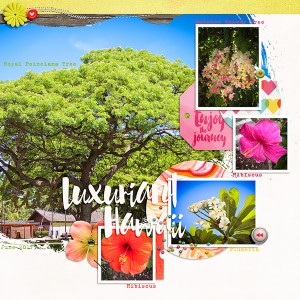 Luxuriant Hawaii