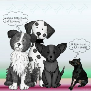Black And White Dogs.