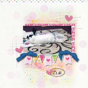 Zuli