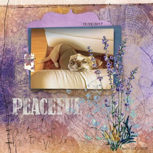 Peaceful (M3)