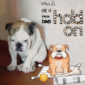 Sad Dog