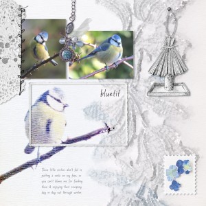 18feb04_bluetit