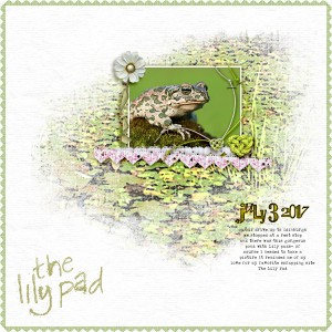 The Lily Pad