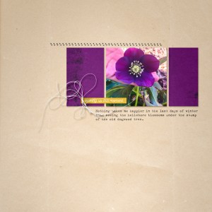 Promise_of_Spring