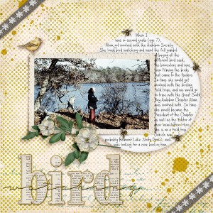 Bird Watching (ETC by Danyale Feb Designer Challenge)