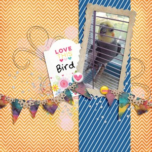 Love this bird