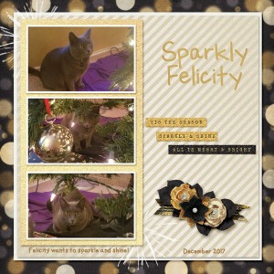 12 December Felicity Web