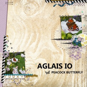 Aglais io