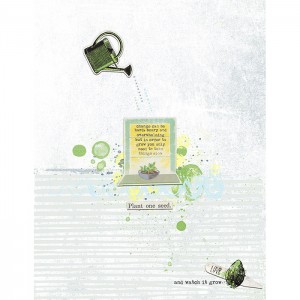 Plant One Seed