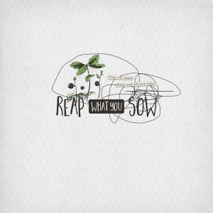 Reap