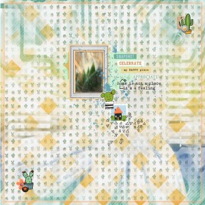 Pink Reptile Designs-Jan-Feb-Template Challenge-Succulent