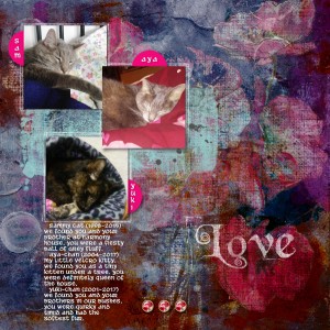 Dawn Inskip Feb18 Template Challenge