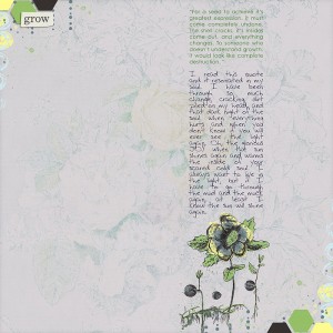 Seeds2