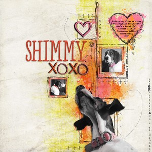 Shimmy