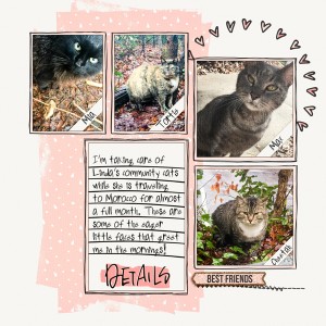 Lindas_Cats