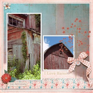 I Love Barns