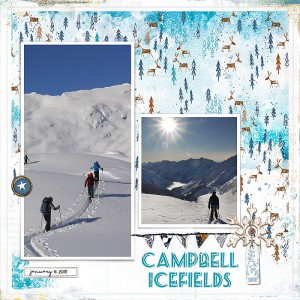 Campbell IcefieldL
