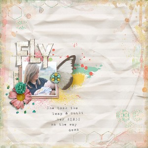 Fly