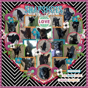 June B @ Bark and Play