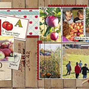 Apple Orchard