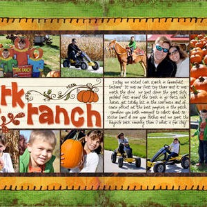 Pumpkin Patch